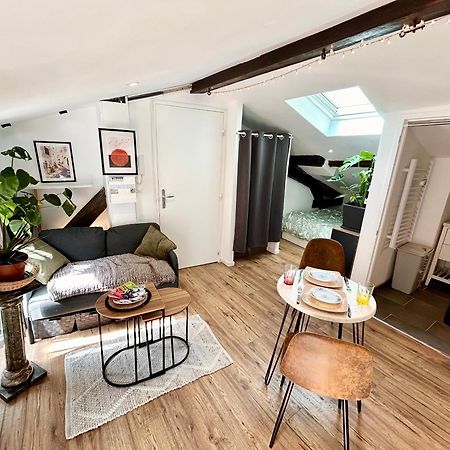 Loft Hortensia Hyper Centre Castres Castres  Zewnętrze zdjęcie