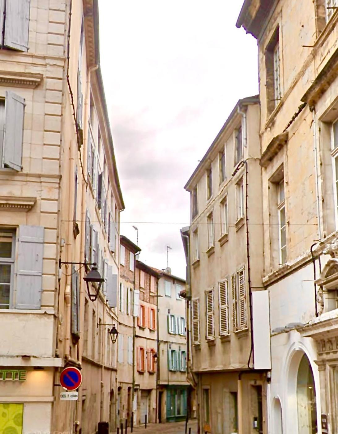 Loft Hortensia Hyper Centre Castres Castres  Zewnętrze zdjęcie