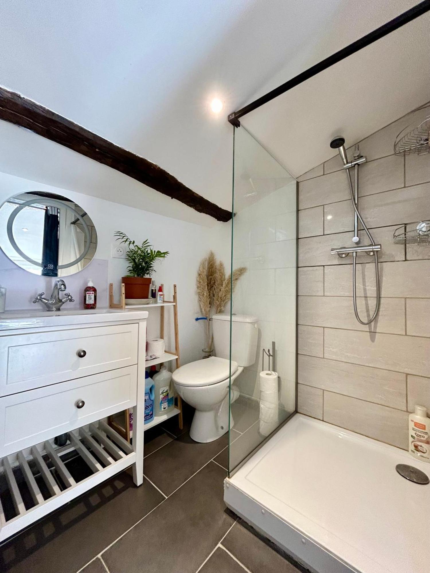 Loft Hortensia Hyper Centre Castres Castres  Zewnętrze zdjęcie