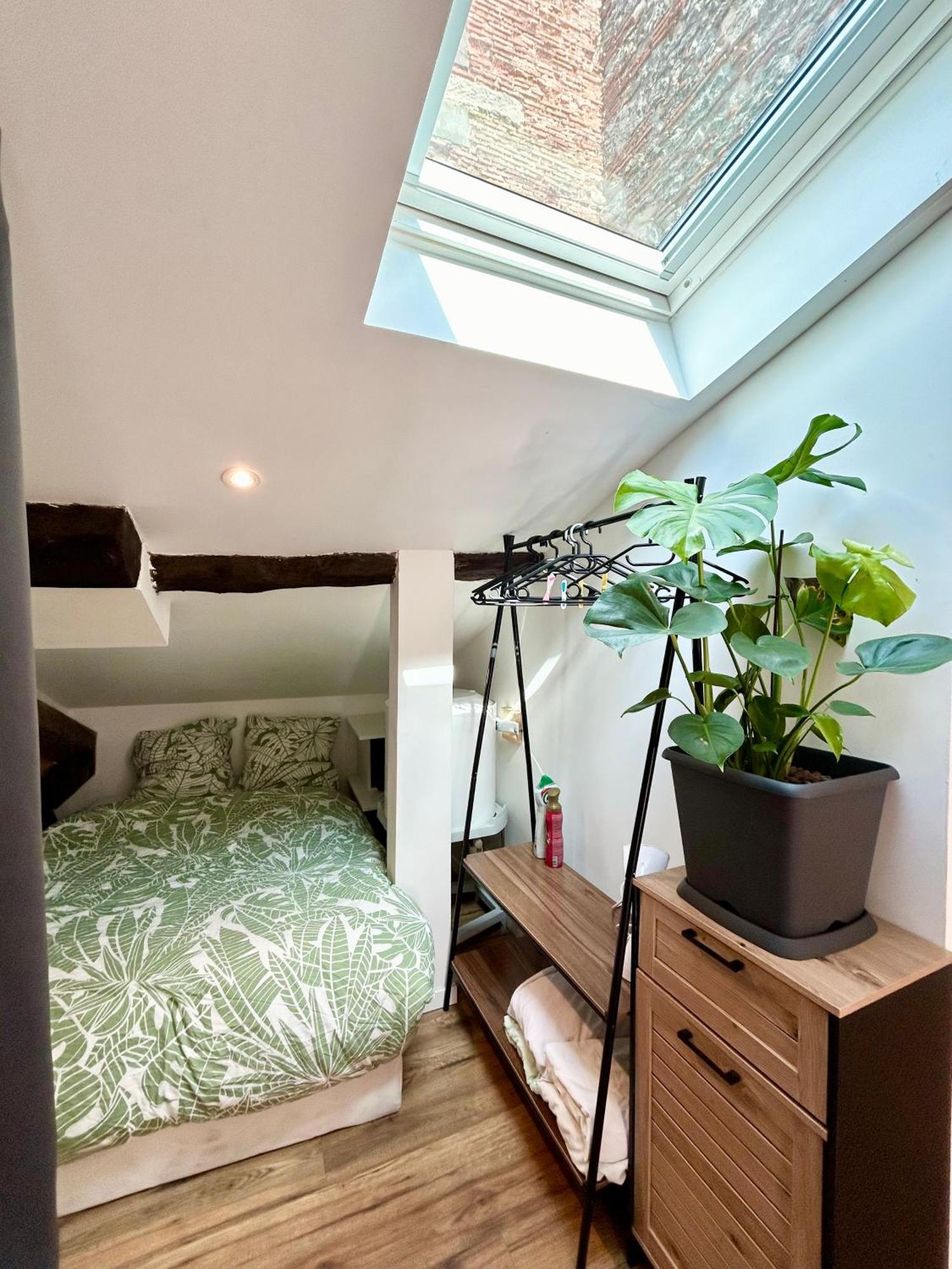 Loft Hortensia Hyper Centre Castres Castres  Zewnętrze zdjęcie