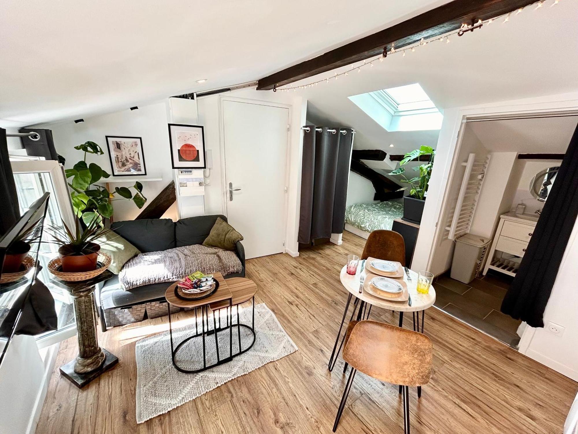 Loft Hortensia Hyper Centre Castres Castres  Zewnętrze zdjęcie